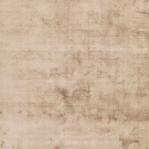 Surya Bellatrix Bll-3000 2' X 3' Hand Loomed Viscose Rug - Modern Decor With Natural Elegance & Style Brown Viscose Bll3003-268