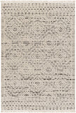 Berlin BLR-2300 7'10" x 10' Machine Woven Rug BLR2300-71010 Livabliss Surya