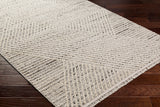 Berlin BLR-2302 7'10" x 10' Machine Woven Rug BLR2302-71010 Livabliss Surya