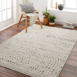 Berlin BLR-2303 7'10" x 10' Machine Woven Rug BLR2303-71010 Livabliss Surya