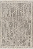 Berlin BLR-2306 7'10" x 10' Machine Woven Rug BLR2306-71010 Livabliss Surya