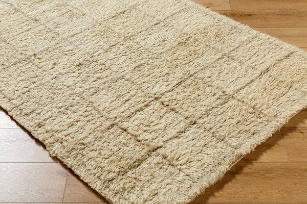 Livabliss Beni Moroccan Handcrafted Wool Rug Plush High Pile Geometric Bohemian Accent Beige, Sand 2' x 3' BMC2305-23
