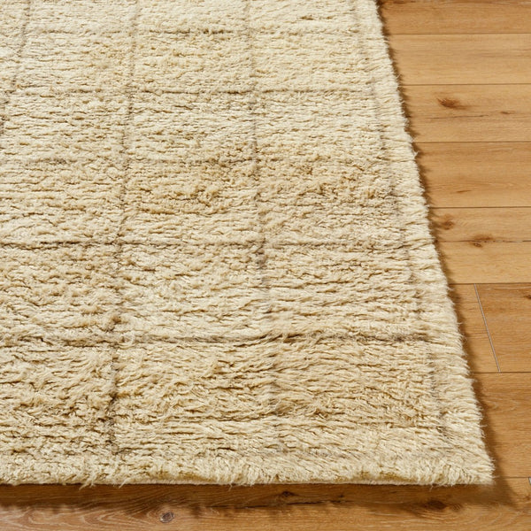 Livabliss Beni Moroccan Handcrafted Wool Rug Plush High Pile Geometric Bohemian Accent Beige, Sand 2' x 3' BMC2305-23