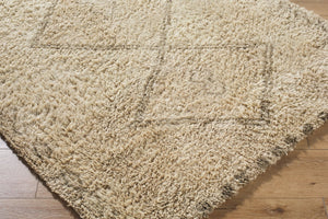 Livabliss Beni Ourain Inspired Wool Area Rug Hand Tufted High Pile Bohemian Accent Beige, Taupe 2' x 3' BMC2312-23