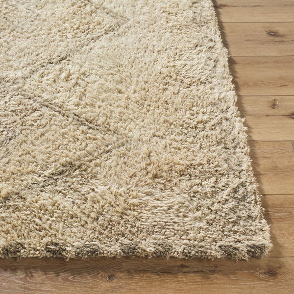 Livabliss Beni Ourain Inspired Wool Area Rug Hand Tufted High Pile Bohemian Accent Beige, Taupe 2' x 3' BMC2312-23