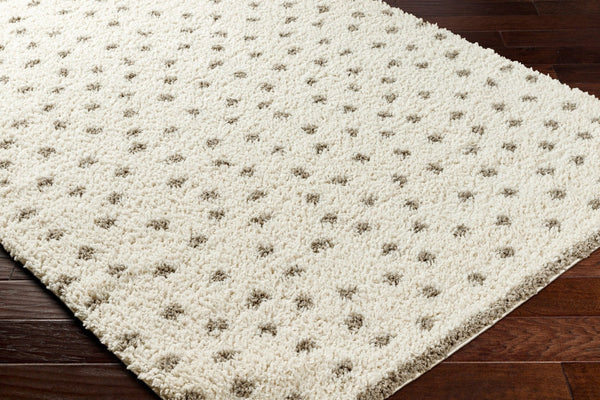 Livabliss Birmingham Geometric Machine Woven Polyester Area Rug for Living and Dining Spaces BMM2302-71010