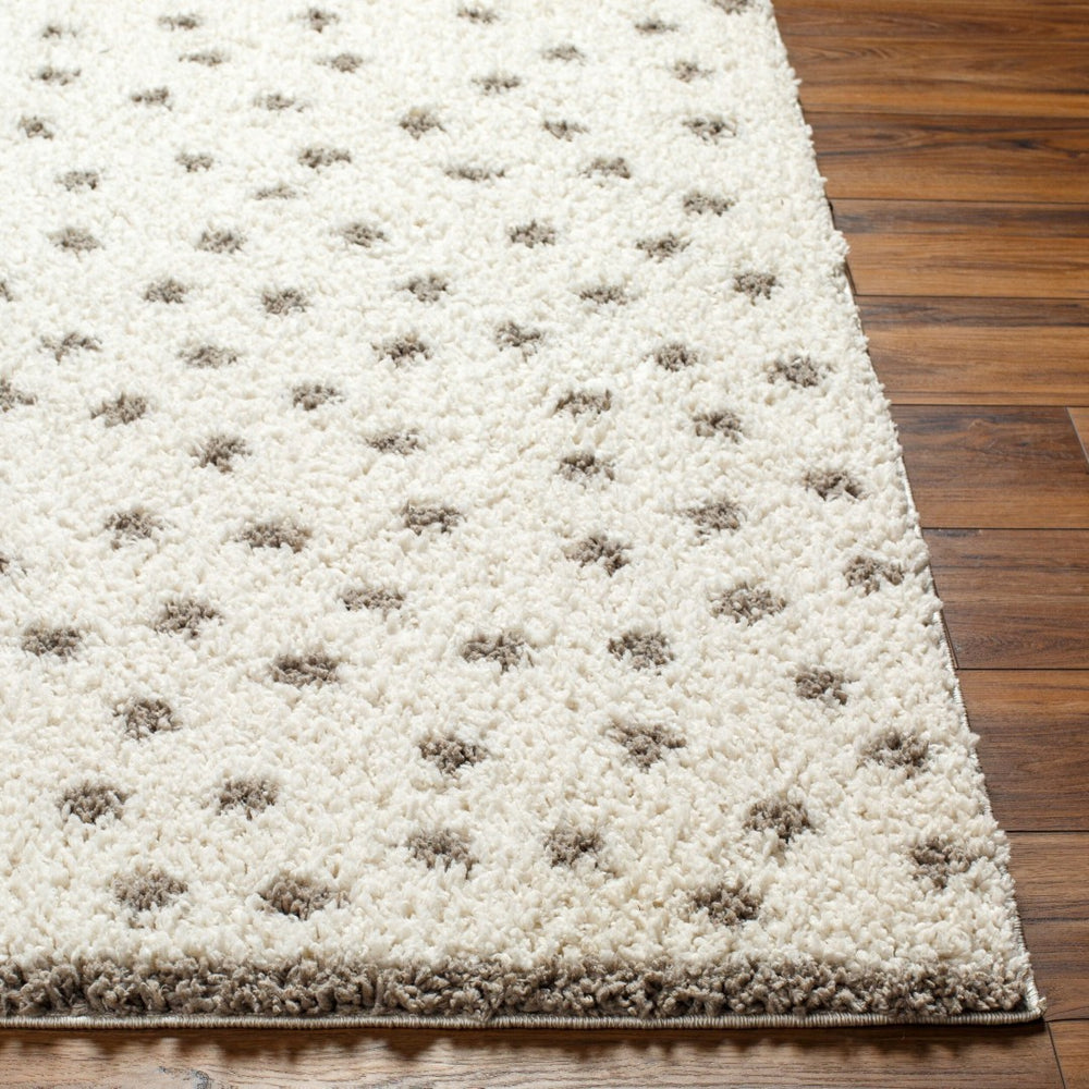 Livabliss Birmingham Geometric Machine Woven Polyester Area Rug for Living and Dining Spaces BMM2302-71010