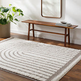 Birmingham BMM-2314 7'10" x 10' Machine Woven Rug BMM2314-71010 Livabliss Surya