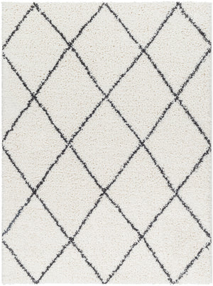 Birmingham BMM-2318 7'10" x 10' Machine Woven Rug BMM2318-71010 Livabliss Surya