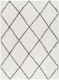 Birmingham BMM-2318 7'10" x 10' Machine Woven Rug BMM2318-71010 Livabliss Surya