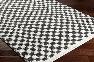 Livabliss Birmingham Machine Woven Plush Polyester Area Rug Transitional Pattern for Living Room Ivory, Black 5'3" x 7' BMM2319-537