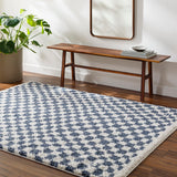 Birmingham BMM-2320 7'10" x 10' Machine Woven Rug BMM2320-71010 Livabliss Surya