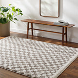 Birmingham BMM-2321 7'10" x 10' Machine Woven Rug BMM2321-71010 Livabliss Surya