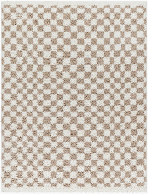 Livabliss Birmingham Machine Woven Plush Polyester Area Rug Transitional Style for Living Spaces Ivory, Tan 7'10" x 10' BMM2322-71010