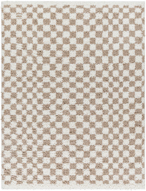 Birmingham BMM-2322 7'10" x 10' Machine Woven Rug BMM2322-71010 Livabliss Surya