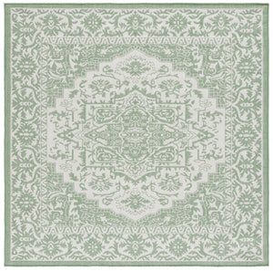 Safavieh Bermuda 885 Power Loomed Indoor / Outdoor Rug Green / Ivory 8' x 10'