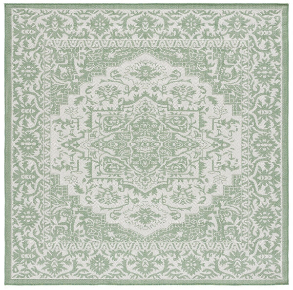 Safavieh Bermuda 885 Power Loomed Indoor / Outdoor Rug Green / Ivory 8' x 10'