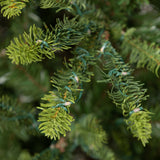 Park Hill Great Northern Spruce Christmas Tree, 5' XPQ90662 Park Hill