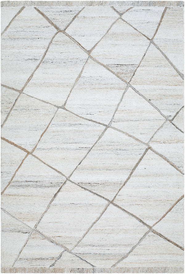 Berna BNA-2301 9' x 12' Handmade Rug BNA2301-912  Off-White, Light Beige Surya