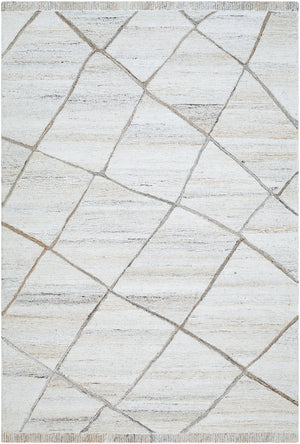 Berna BNA-2301 9' x 12' Handmade Rug BNA2301-912  Off-White, Light Beige Surya