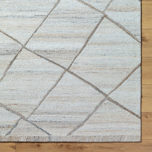 Berna BNA-2301 9' x 12' Handmade Rug BNA2301-912  Off-White, Light Beige Surya