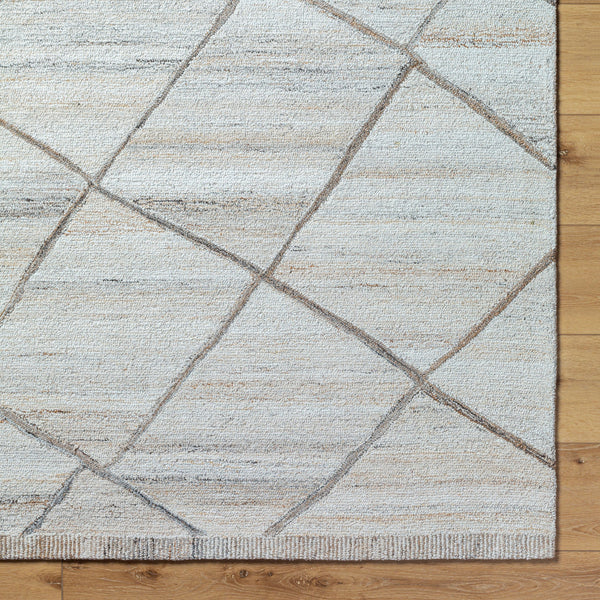 Berna BNA-2301 9' x 12' Handmade Rug BNA2301-912  Off-White, Light Beige Surya