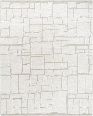 Bianca BNC-2301 9' x 12' Handmade Rug BNC2301-912  Off-White, Light Silver, White, Ash Surya