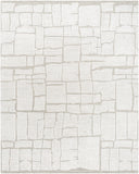 Bianca BNC-2301 9' x 12' Handmade Rug BNC2301-912  Off-White, Light Silver, White, Ash Surya