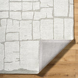 Bianca BNC-2301 9' x 12' Handmade Rug BNC2301-912  Off-White, Light Silver, White, Ash Surya