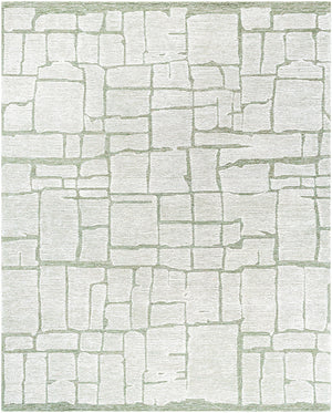 Bianca BNC-2302 9' x 12' Handmade Rug BNC2302-912  Light Silver, Off-White, White, Ash, Sage Surya