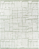 Bianca BNC-2302 9' x 12' Handmade Rug BNC2302-912  Light Silver, Off-White, White, Ash, Sage Surya