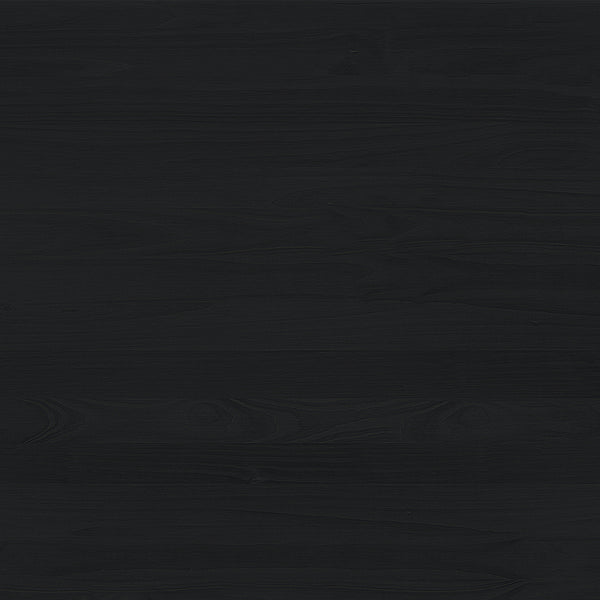 Holmes Modern Lift Top Standing Desk with Reeded Drawer Black WEHOL42OS2BL0 Walker Edison