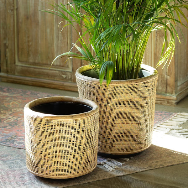 Park Hill Woven Rattan Plant Basket ECW16004