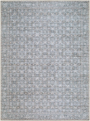 Livabliss Aureta Polyester Woven Traditional Area Rug for Entryways Hallways and Bedside Spaces Steel Blue, Sl 2' x 2'11" BOAU2301-2211