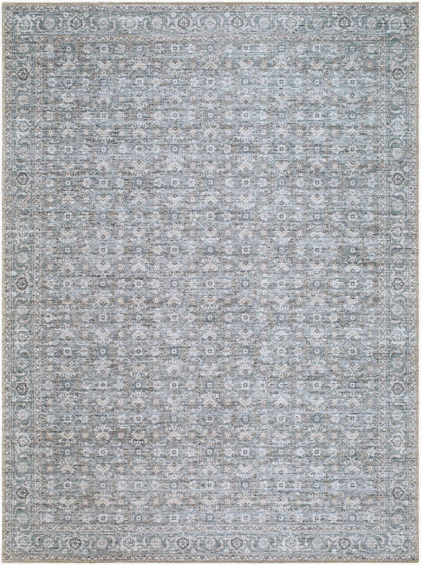 Livabliss Aureta Polyester Woven Traditional Area Rug for Entryways Hallways and Bedside Spaces Steel Blue, Sl 2' x 2'11" BOAU2301-2211