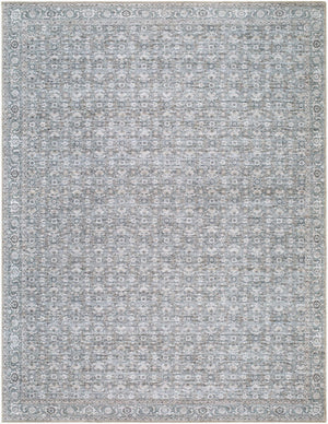 Livabliss Aureta Polyester Woven Traditional Area Rug for Entryways Hallways and Bedside Spaces Steel Blue, Sl 7'10" x 10' BOAU2301-71010