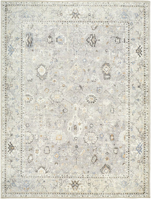 Livabliss Davina Turkish Machine Woven Polyester Area Rug with Medallion Pattern for Entryway Medium Gray, Li 9'2" x 12' BOCC2300-9212