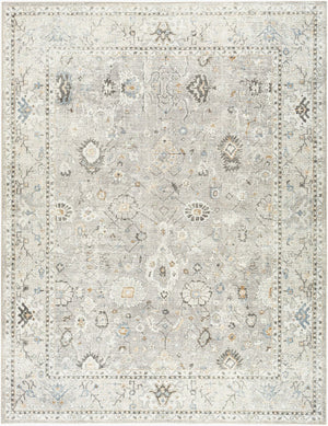 Livabliss Davina Turkish Machine Woven Polyester Area Rug with Medallion Pattern for Entryway Medium Gray, Li 7'10" x 10' BOCC2300-71010