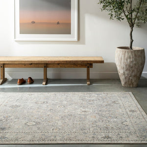 Livabliss Davina Turkish Machine Woven Polyester Area Rug with Medallion Pattern for Entryway Medium Gray, Li 9'2" x 12' BOCC2300-9212