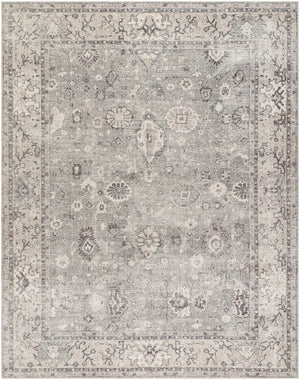 Livabliss Davina Medallion Accent Rug Machine Woven Polyester for Entryway Bedroom or Bath Medium Gray, Ta 6'7" x 9' BOCC2301-679