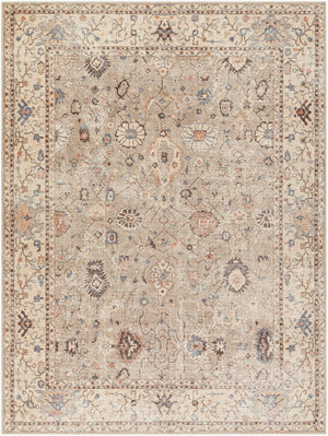Livabliss Davina Traditional Medallion Polyester Area Rug Machine Woven Accent for Entryway Medium Gray, Li 6'7" x 9' BOCC2302-679