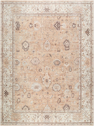 Livabliss Davina Traditional Medallion Polyester Accent Rug for Entryways and Small Spaces Cream, Dark Bro 9'2" x 12' BOCC2303-9212