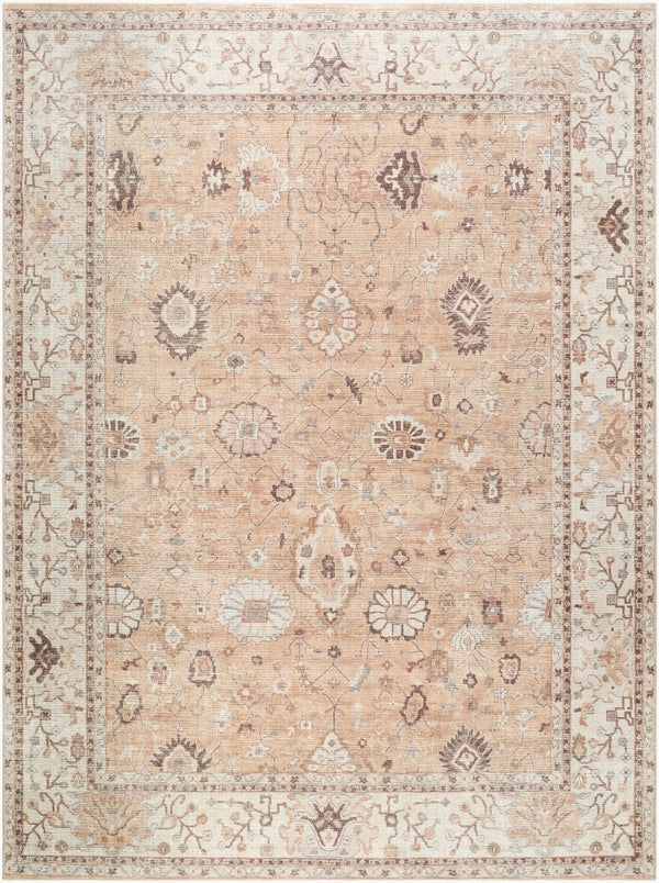 Livabliss Davina Traditional Medallion Polyester Accent Rug for Entryways and Small Spaces Cream, Dark Bro 9'2" x 12' BOCC2303-9212