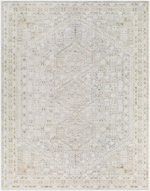 Livabliss Carmela Machine Woven Turkish Area Rug Low Pile Traditional Pattern for Living Spaces Ivory, Beige 6'7" x 9' BOCM2304-679