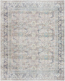 Darling BODA-2300 7'7" x 9'6" Machine Woven Rug BODA2300-7796 Livabliss Surya