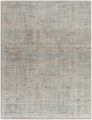 Livabliss Darling Vintage Inspired Runner Rug Machine Woven Turkey Earthy Tones Hallway Entryway Tan, Olive 8'10" x 12' BODA2302-81012