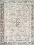 Darling BODA-2304 8'10" x 12' Machine Woven Rug BODA2304-81012 Livabliss Surya