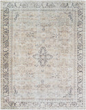 Darling BODA-2304 7'7" x 9'6" Machine Woven Rug BODA2304-7796 Livabliss Surya