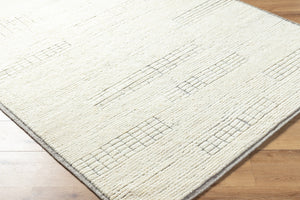 Davey BODV-2300 9' x 12' Handmade Rug BODV2300-912  Light Beige Surya
