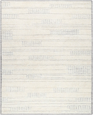 Davey BODV-2300 8' x 10' Handmade Rug BODV2300-810  Light Beige Surya